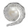Muschelperle - Silber Perlenanhänger - mattiert/poliert
